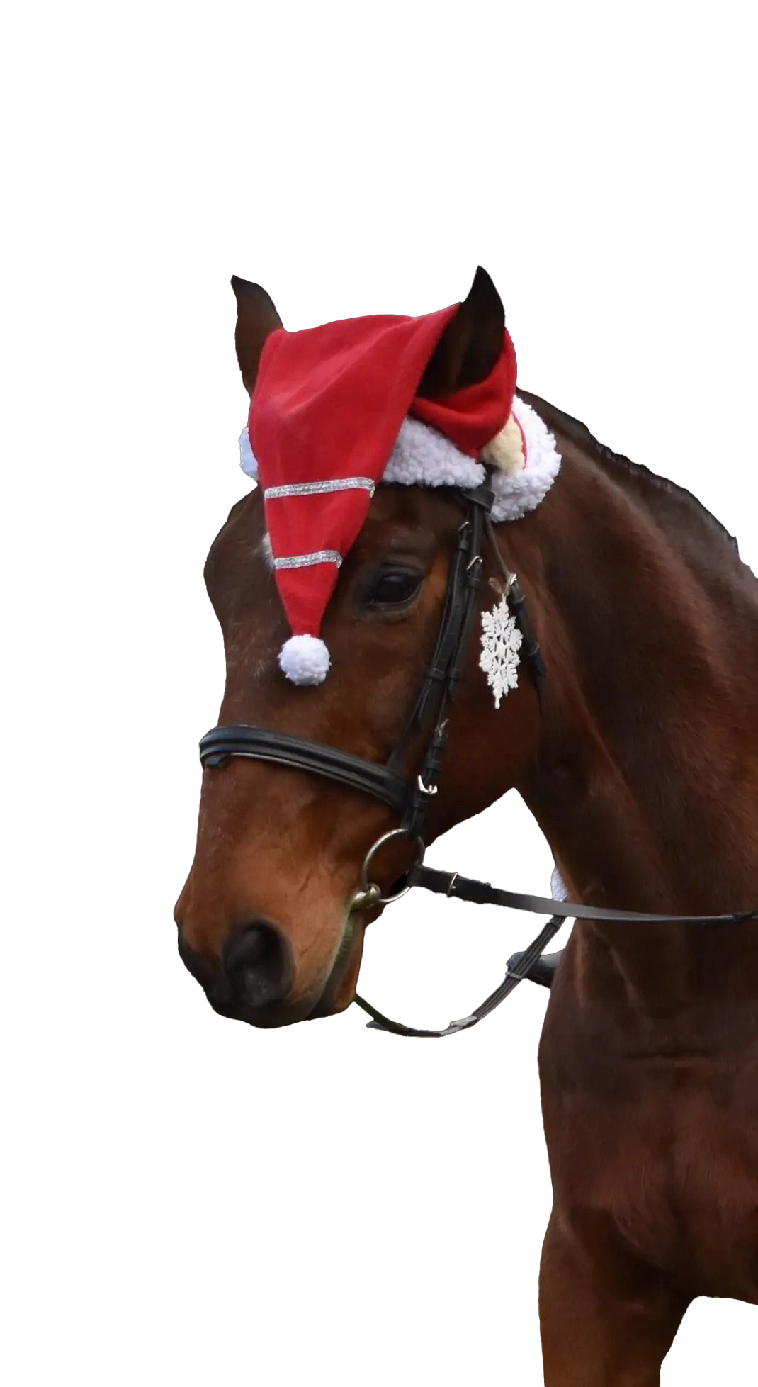 Bild des heiligen Avalon